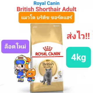 Royal Canin British Shorthair Adult 4kg โรยัลคานิน อาหารแมวโต พันธุ์บริติช ชอร์ทแฮร์ ขนสั้น ถุงขนาด 4 กิโลกรัม
