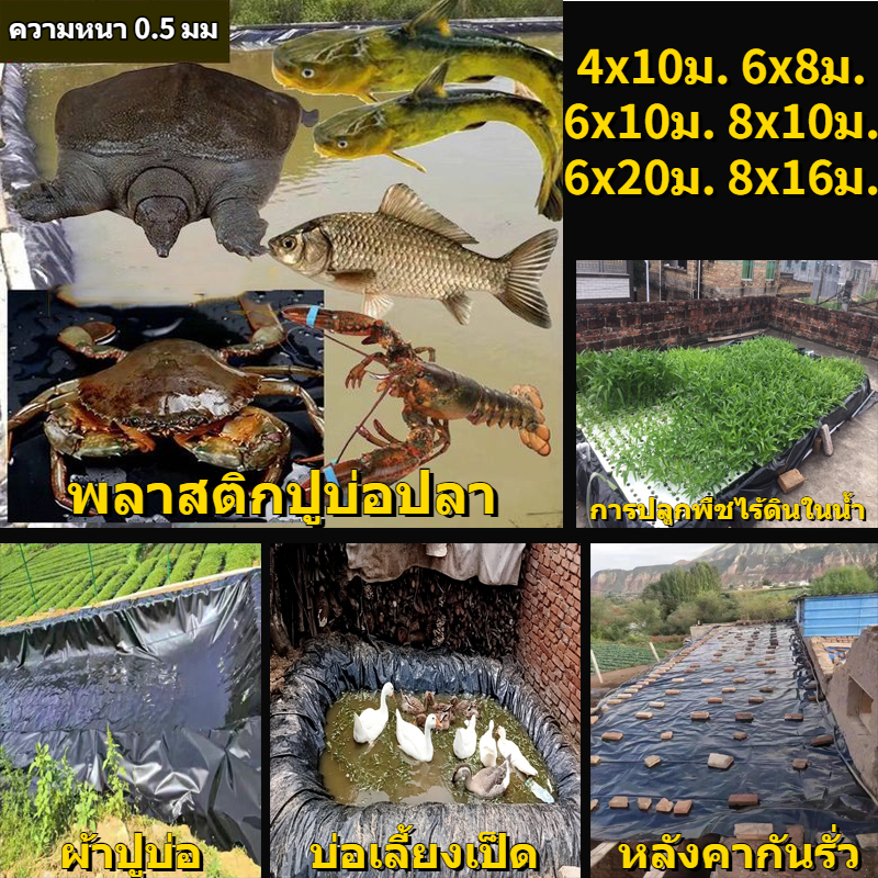 ผ้ายางปูบ่อปลา ความหนา500ไมครอน พลาสติกปูบ่อ 6x8ม. 6x10ม. 8x16ม. 6x20มผ้ายางปูบ่อ ผ้ายางดำปูบ่อ HDPE