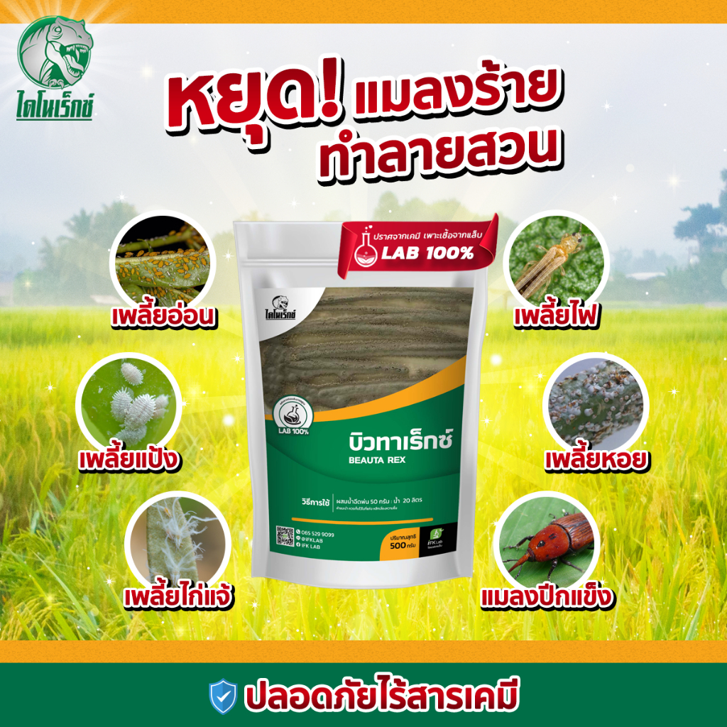 กำจัดแมลงศัตรูพืช ยาฆ่าเพลี้ย ไรแดง ใช้ได้กับพืชทุกชนิด [บิวทาเร็กซ์] ตราไดโนเร็กซ์ บรรจุ 500 กรัม