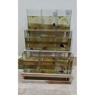 ชั้นวางโหลปลากัด โหล 4*4*8 นิ้วได้12ใบ
