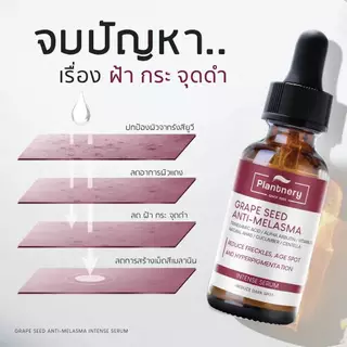 Plantnery Grape Seed เซรั่มเกรป ซีดแพลนท์เนอรี่ เมล็ดองุ่นลดฝ้า กระ และจุดด่างดำ Anti-Melasma Intense Serum