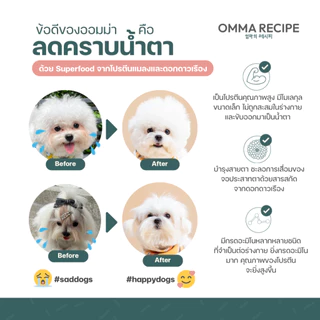 อาหารสุนัข OMMA RECIPE สูตร Insect Nutrition จากโปรตีนแมลง