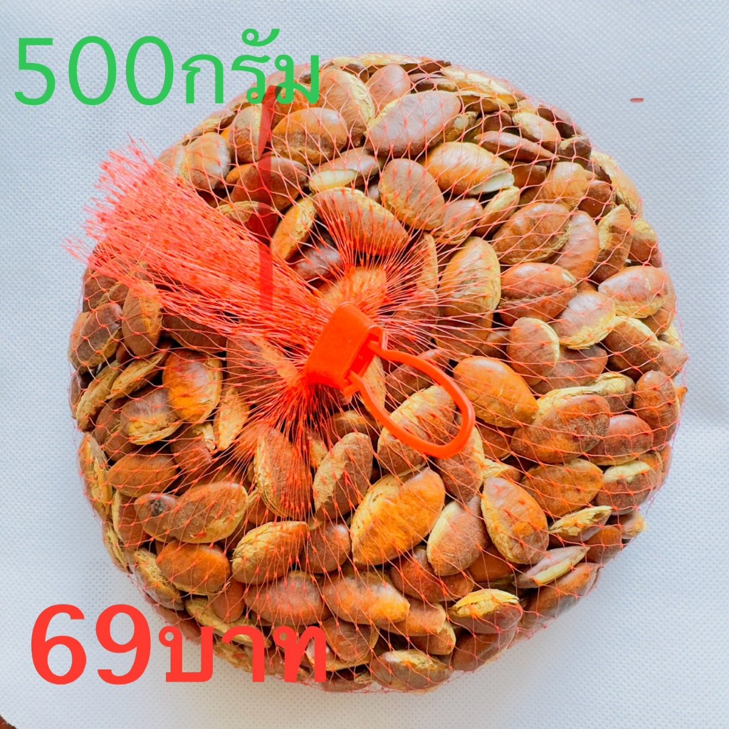 เม็ดกระบกสด 500 กรัมเกรดพรีเมียม OTOP โขงเจียม อุบลราชธานี บักบัก,หมากบก,มะมื่น