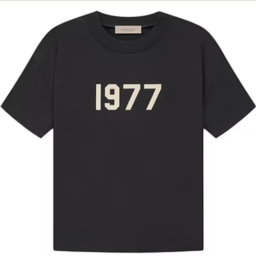 ESSENTIALS 1977 TEE (IRON)