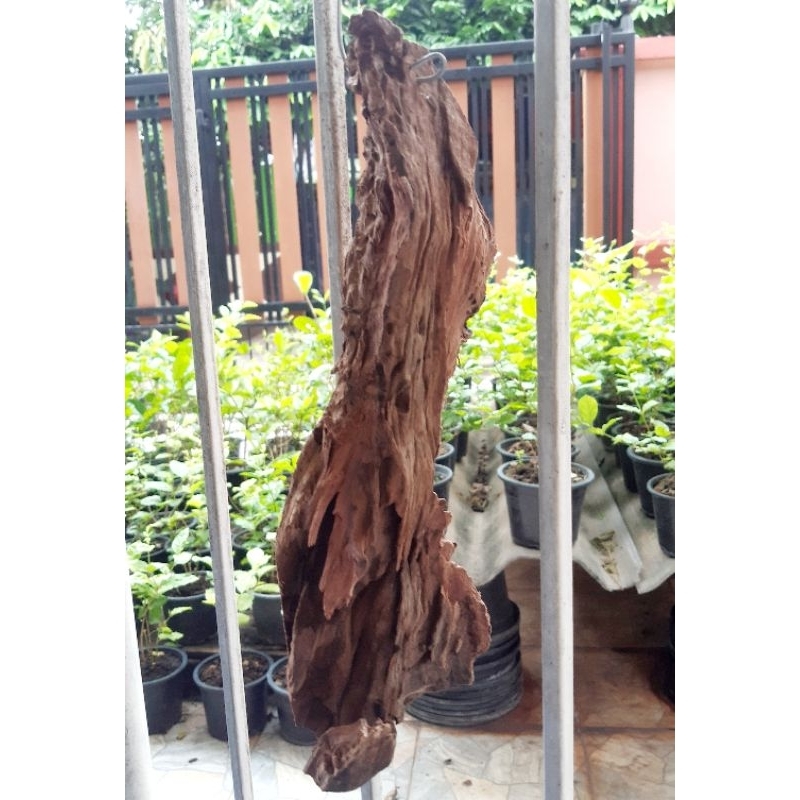 ขอนไม้เนื้อแข็งพร้อมลวดแขวนลวดลายธรรมชาติมีให้เลือก 2ขนาด