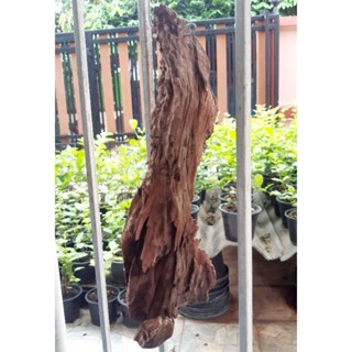 ขอนไม้เนื้อแข็งพร้อมลวดแขวนลวดลายธรรมชาติมีให้เลือก 2ขนาด