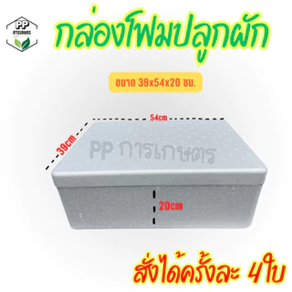 กล่องโฟมปลูกผัก กล่องโฟมปลูกผักไฮโดรโปนิกส์พร้อมเจาะรู กล่องโฟมขนาด 10 กิโล