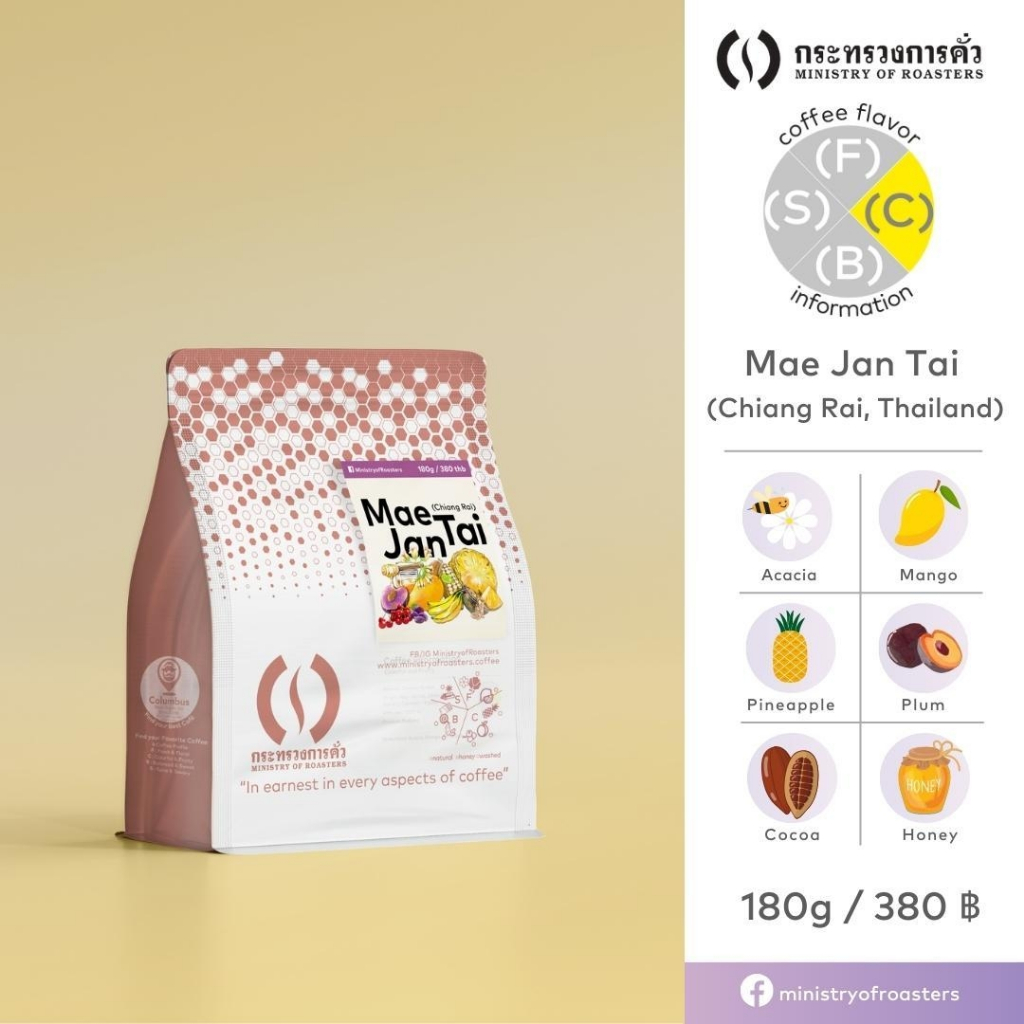 เมล็ดกาแฟแม่จันใต้ Natural : Tropical​ Color​ Palette กาแฟคั่วอ่อนหวานฉ่ำผลไม้ กาแฟดริป