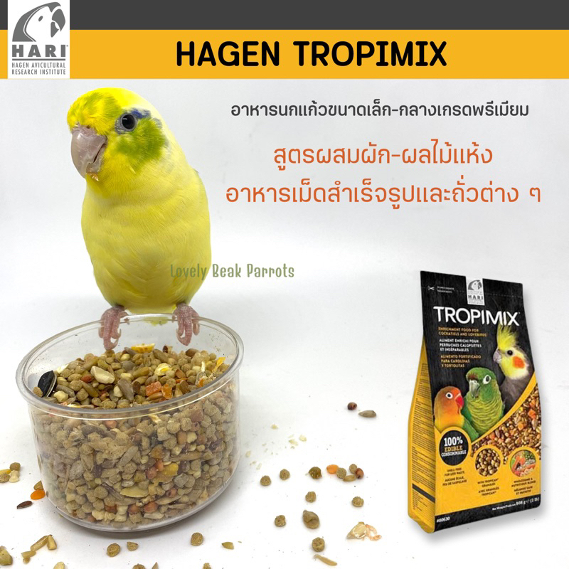 HAGEN Tropimix อาหารสูตรพรีเมียมสำหรับเลิฟเบิร์ด ค็อกคาเทล Cockatiels &amp; Lovebird และนกขนาดเล็ก สูตรสมดุล ธัญพืชและผลไม้