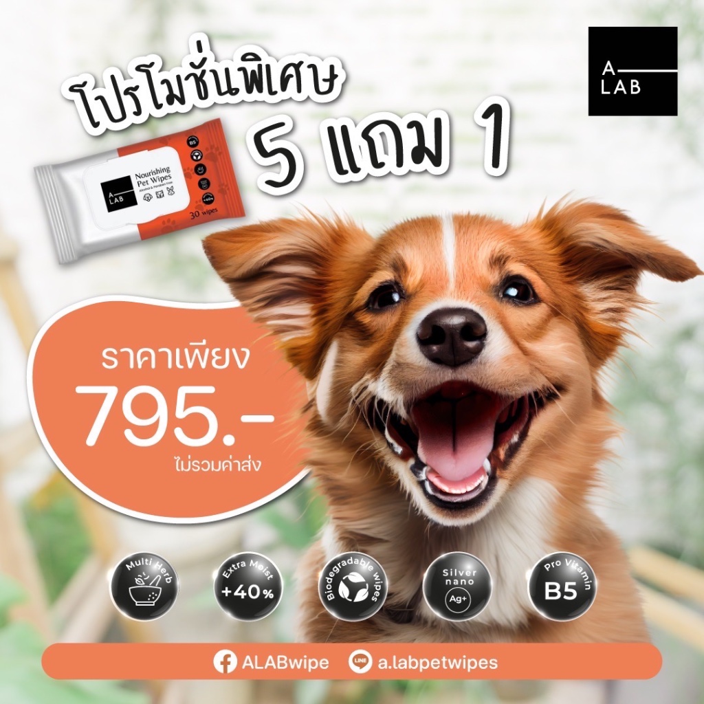 A-Lab ซื้อ 5 แถม1 ผ้าเปียกสปาสำหรับสัตว์เลี้ยง