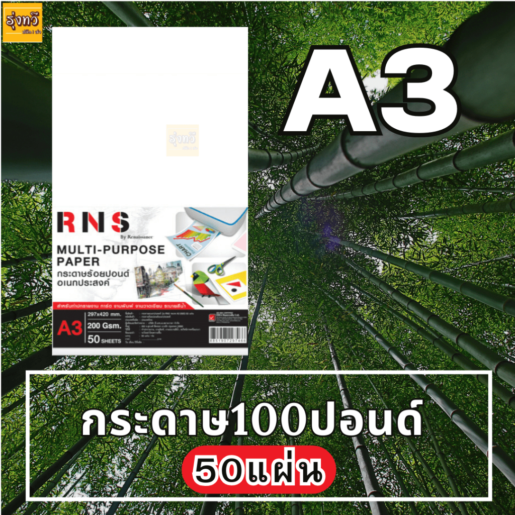 กระดาษ 100 ปอน รุ่น R-N-S ขนาด A3 200G (แพค50แผ่น) เรนาซองซ์ กระดาษ 100ปอน เรียบ ขนาดA3 200G