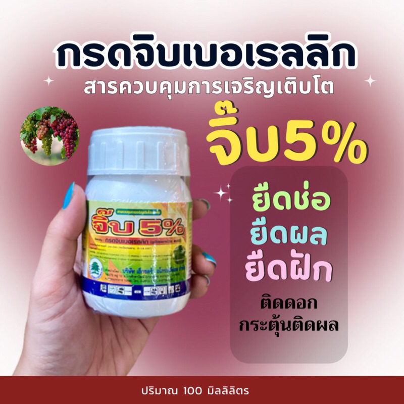 จิบเบอเรลลิก 5% #จิ๊บ5% ยืดช่อ ดอก ผล -100 ซีซี