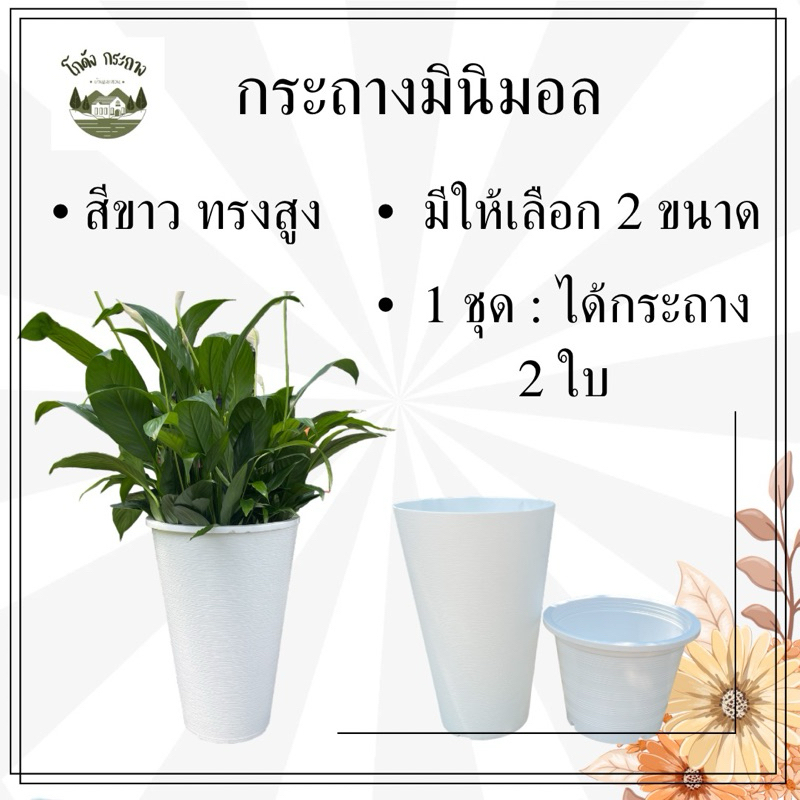 กระถางพลาสติก กระถางมินิมอล 2 ชั้น {1 ชุดได้กระถาง 2 ใบ }มีให้เลือก 2ขนาด