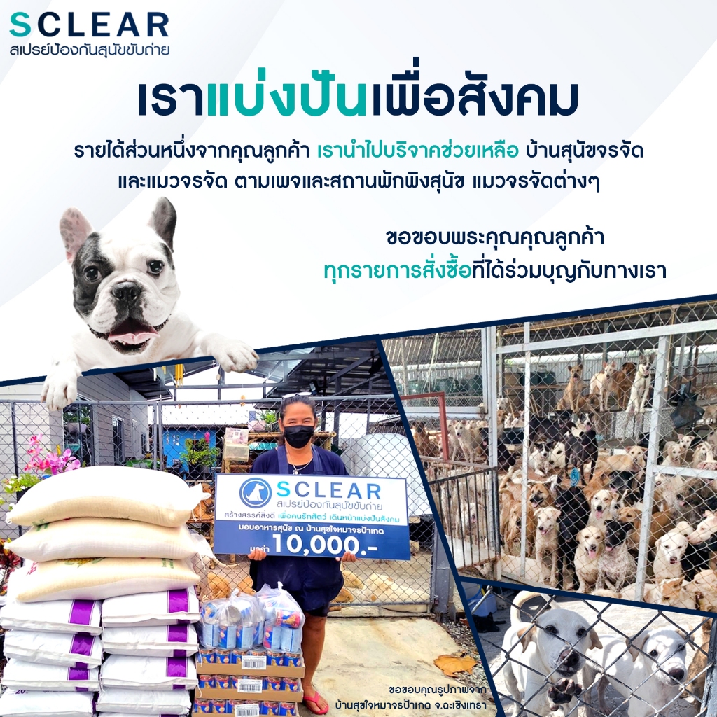 แมงมุม สเปรย์ไล่แมงมุม ที่ไล่แมงมุม ฟรี กาวติดผนัง (เก็บเงินปลายทาง ส่งไว) สูตรเข้มข้น - รูปที่ 6