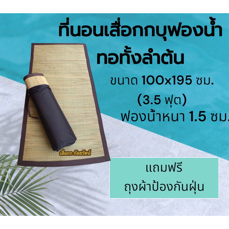 ที่นอนเสื่อกกบุฟองน้ำ ทอทั้งลำต้น ขนาด 100x195 ซม.
