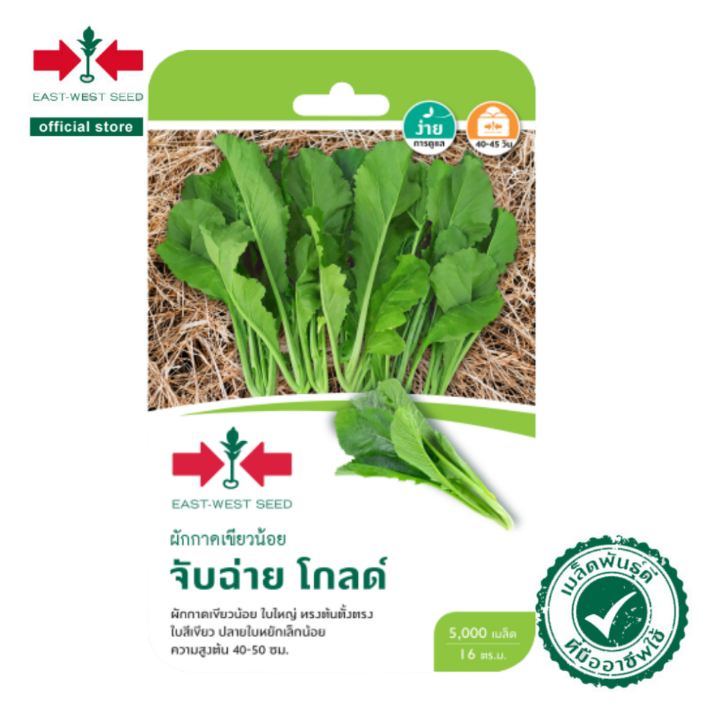 ศรแดง เมล็ดพันธุ์ผักกาดเขียวน้อย จับฉ่าย โกลด์ (East-West Seed) เมล็ดพันธุ์ ผักสวนครัว ตราศรแดง