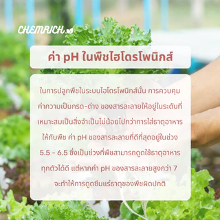 500ml pH DOWN น้ำยาลดค่า pH สูตรเข้มข้น / Concentrated buffering solution for pH stability - Chemrich