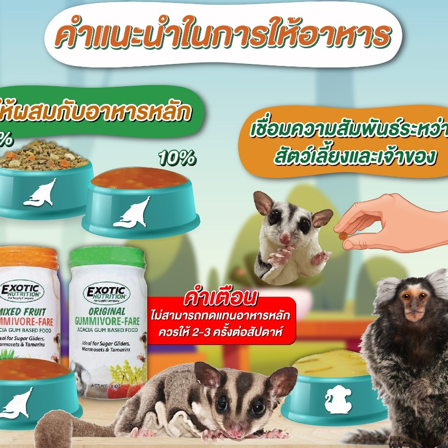 TreatWorld - Exotic Nutrition อาหารเสริมรูปแบบ รูปที่ 5