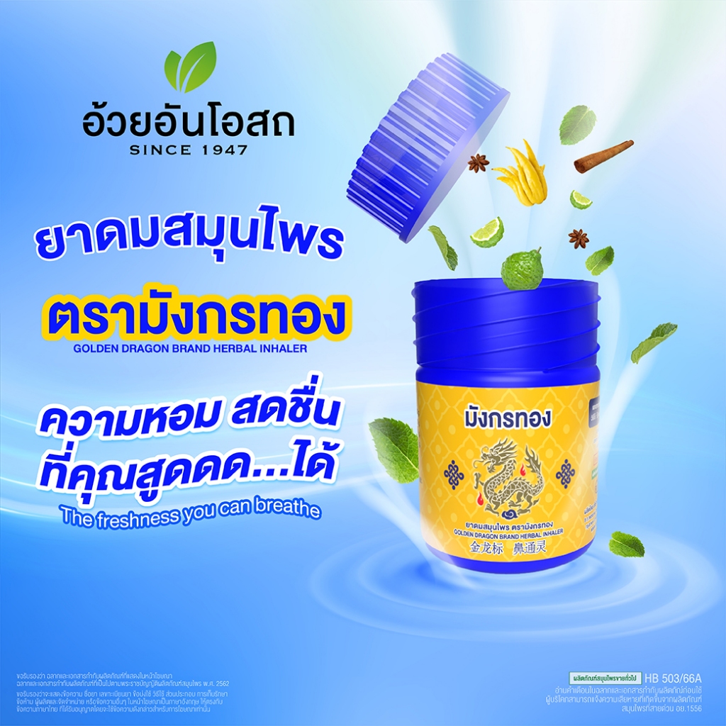 ยาดมสมุนไพรตรามังกรทอง [1กล่อง - 12 หลอด] อ้วยอันโอสถ Golden Dragon brand herbal inhaler