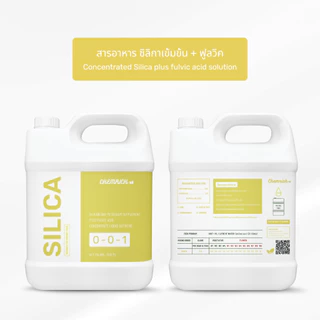 1000ml ซิลิกา (Silica + Fulvic) ธาตุซิลิกาเสริมความแข็งแรง เพิ่มขนาดกิ่ง ก้าน และลดการหดตัว สารอาหารเข้มข้น - Chemrich