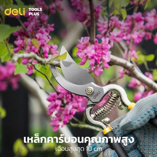 Deli กรรไกรตัดกิ่งไม้ กรรไกรตัดกิ่ง กรรไกรทำสวน 8 นิ้ว ใบมีดคม มีสปริงคืนตัว ทนทาน Pruning Shears