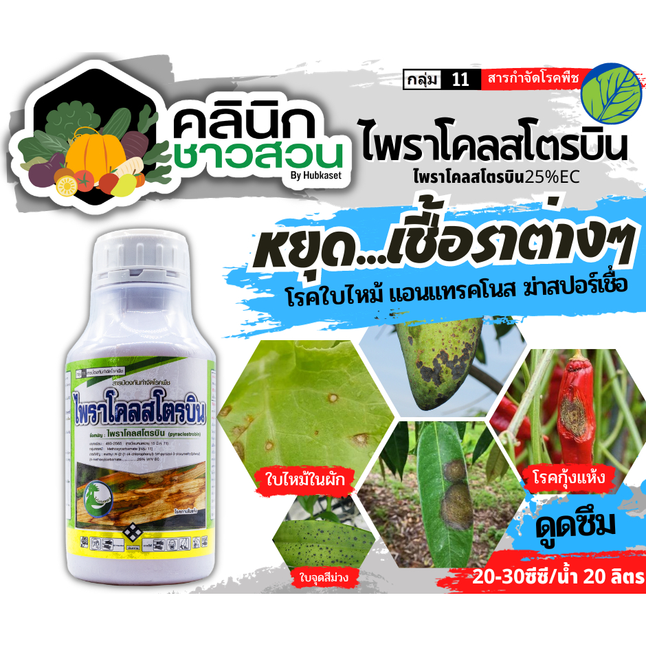 ไพราโคลสโตรบิน (ไพราโคลสโตรบิน) บรรจุ 500ซีซี ป้องกันเชื้อราเมล็ดด่างในนาข้าว