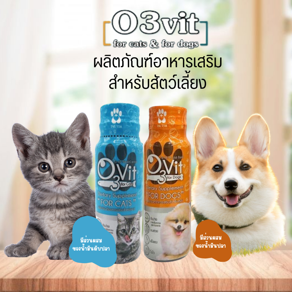O3vit 50ml วิตามินบำรุง แมวหมา ให้อ้วน ขนสวย แข็งแรง มีไลซีน เสริมภูมิคุ้มกัน 50ml.