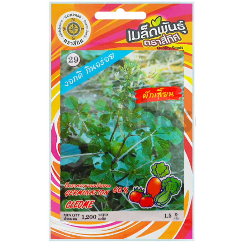 เมล็ดพันธุ์ผักเสี้ยน5,000เมล็ด69บาท
