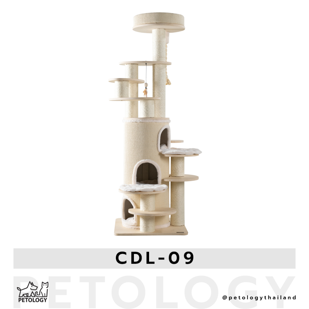 Petology คอนโดแมวคุณภาพสูง แข็งแรง ทนทาน ใช้งานได้นาน รุ่น CDL-09