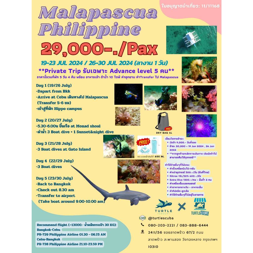 Package Scuba diving trip at  Malapuscua Philippines ดำน้ำลึก ดูฉลามหางยาว 10 ไดฟ์ 19-23 Jul 2024
