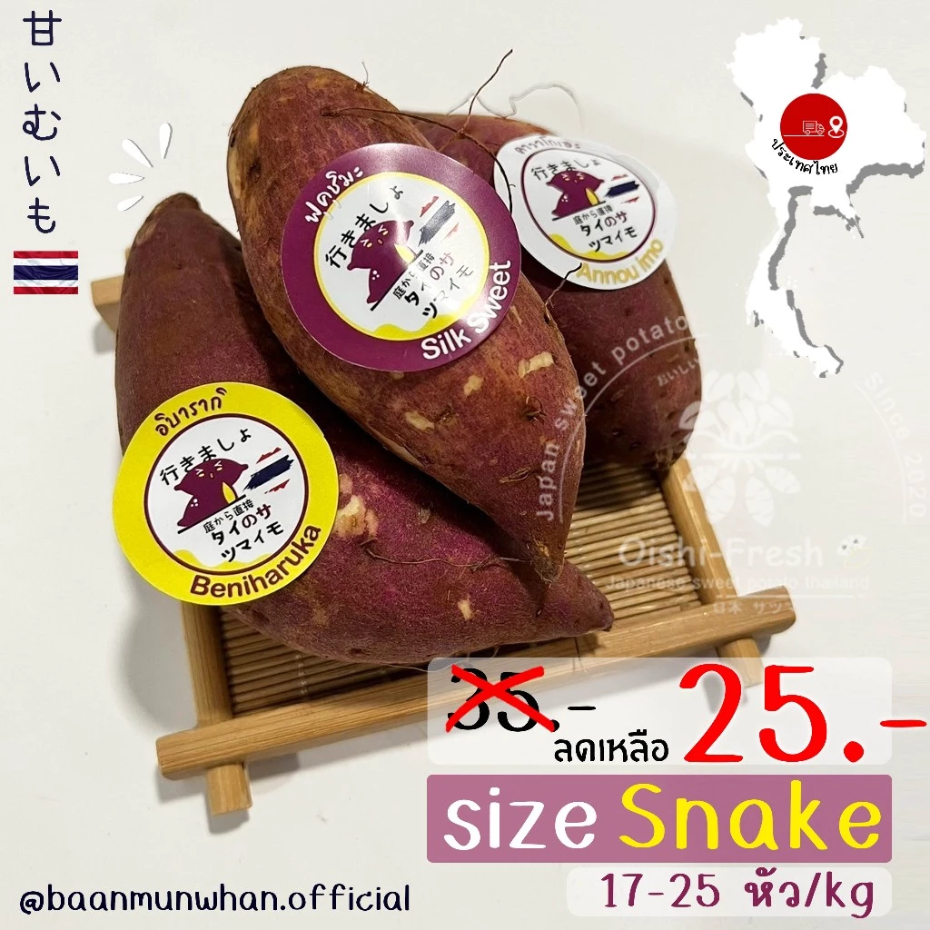 Oishi-Fresh มันหวานญี่ปุ่น 3 สายพันธุ์🍠ไซต์Snack🍠🇹🇭ปลูกไทย🇹🇭เบนิฮารุกะ🍠เนื้อเหลืองนุ่ม หอม หวาน 300-1000 ก.จัดส่ง 24 ชม.