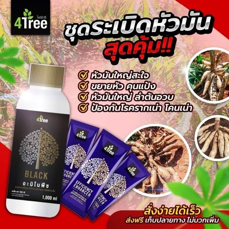 โฟร์ทรี 4Tree 3ซอง+อะมิโนแบล็ค Amino Black 1ลิตร (เซตแนะนำ) เร่งราก เพิ่มน้ำหนัก %แป้ง ใช้ได้ 15-20 ไร่
