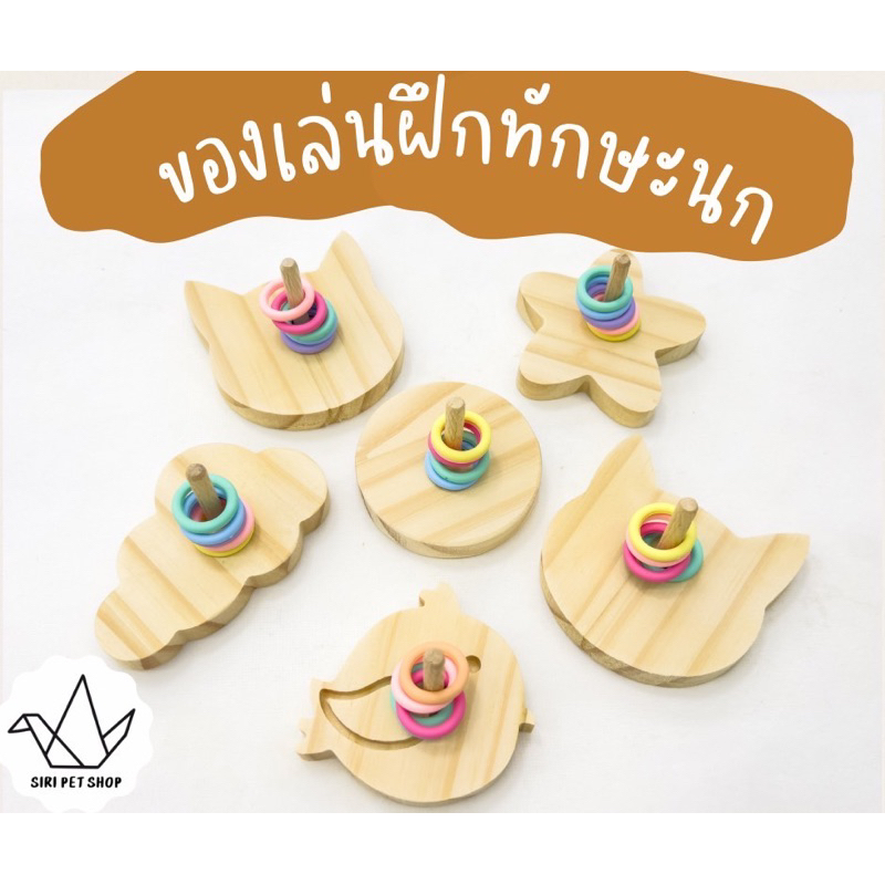 ของเล่นนกแก้ว ห่วงฝึกนกแก้ว  ของฝึกทักษะนกแก้วสีพาสเทล