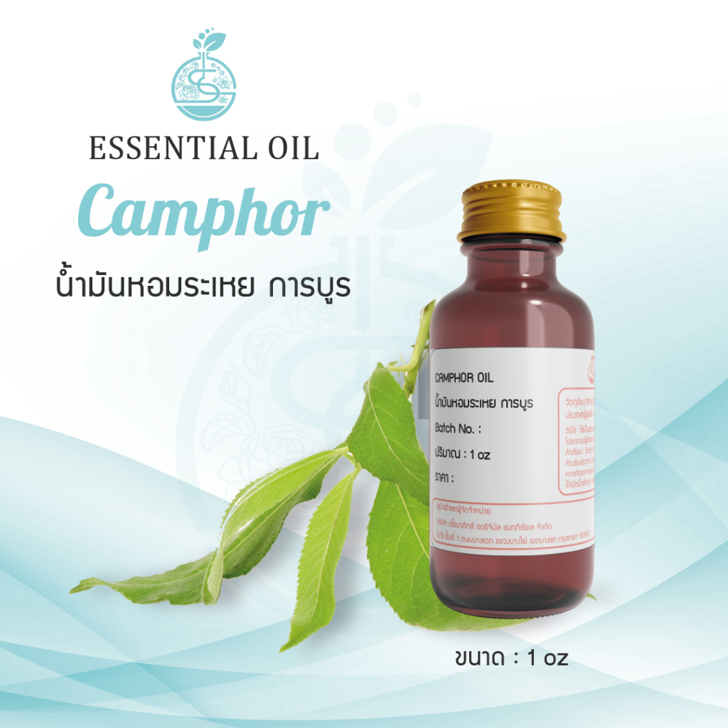 Camphor Essential Oil / น้ำมันหอมระเหย การบูร / Camphor Oil / 1 oz