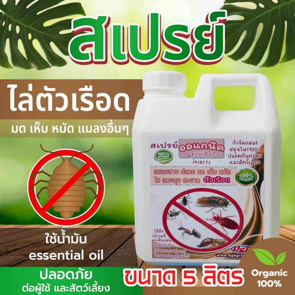 สเปรย์ไล่ ตัวเรือด สมุนไพรป้องกันตัวเรือด(5ลิตร) (RR-5) ตัวริ้น ตัวไร ไรฝุ่น ตัวเหา เห็บหมัดบนที่นอน โซฟา ชนิดออแกนิค