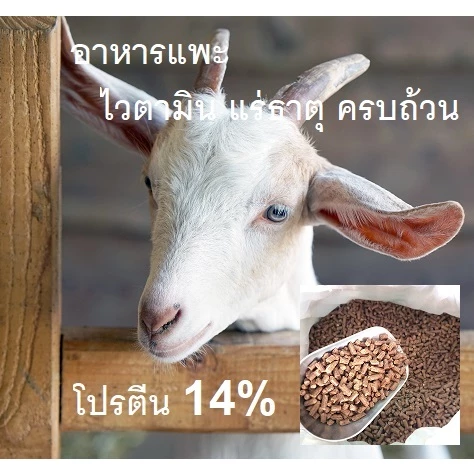 อาหารแพะ-แกะ อัดเม็ด ถุง 1 กิโลกรัม