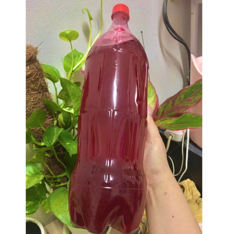 ((ถูกสุดๆ))น้ำหวานเข้มข้น DIPHENA น้ำหวานเข้มข้นปริมาณ 60 ml.