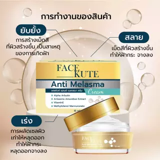ครีมทาฝ้า ลดฝ้า กระ จุดด่างดำ หน้าขาว 15g Anti Melasma Cream // Alpha Arbutin 2.0%