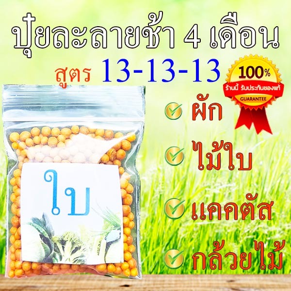 ปุ๋ยละลายช้า☘️สูตรใบ ถูกที่สุด10บ. ปุ๋ยละลายช้า 4 เดือน 10 g. สูตร13-13-13 ขนาดทดลองใช้☘️เร่งงาม☘️เร่งโต เร่งใบ