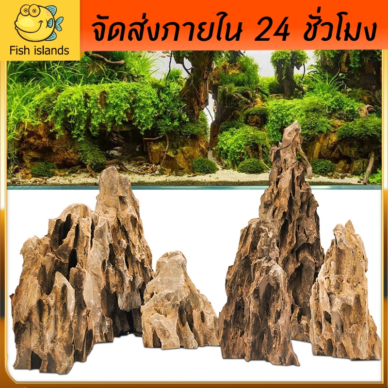 หินฟันม้า หินประดับ หินก้อนใหญ่และเล็ก หินรูพรุน หินตกเเต่งสวน หินประดับตกเเต่งตู้ปลา หินดราก้อน Dragon Stones