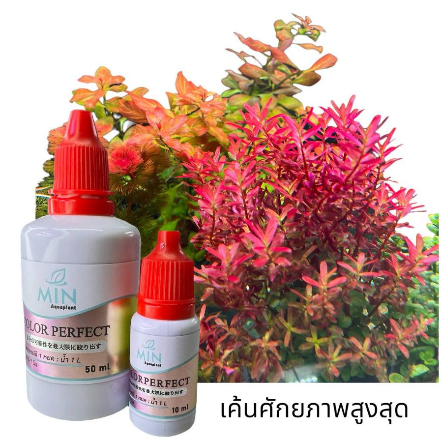 Color Perfect ปุ๋ยน้ำส่วนผสมธาตุเหล็ก,โพแทสเซียม,กรดอะมิโน ฮอร์โมน (สูตรเข้มข้น) ฉายาติดปากซีอิ๊วดำนักกล้าม