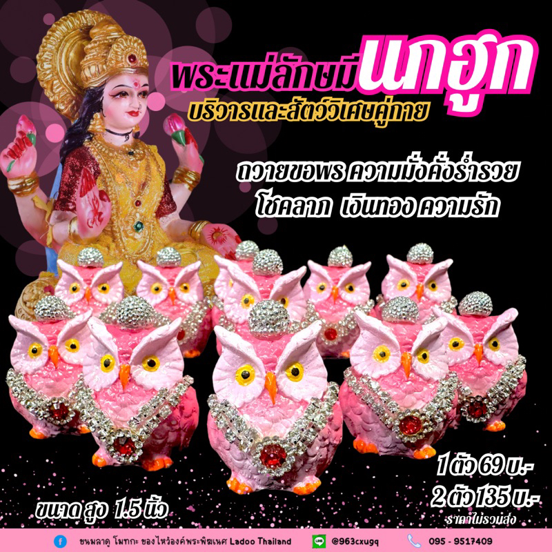 นกฮูก ตกแต่งสวยงาม บริวารแห่งพระแม่ลักษมี ขอพร เสริมดวง โชคลาภ ความรัก สีชมพู