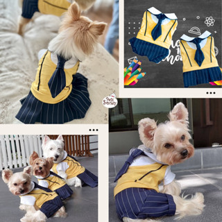 PetSociety เสื้อสุนัข เสื้อแมว ชุดคู่นักเรียน