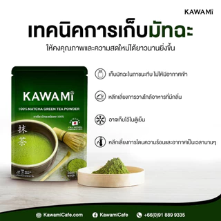 (15 ซอง/ลัง) คาวามิ มัทฉะ 100% ขนาด 100 กรัม. Kawami Matcha Powder 100% size 100 g.