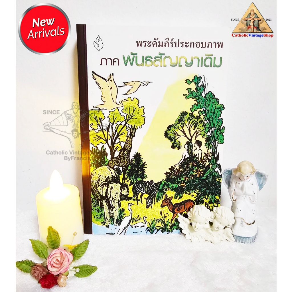 หนังสือ พระคัมภีร์ พันธสัญญาเดิม ฉบับภาพประกอบ พระคัมภีร์ไบเบิล ภาษาไทย Holy Bible