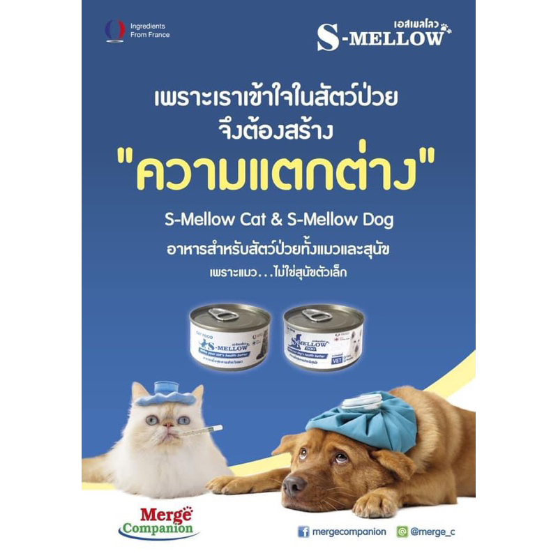 (( 1 กป. สีฟ้า แมว)) S-Mellow Cat เอส เมลโลว์ แคท อาหารสำหรับแมวป่วย 80 กรัม