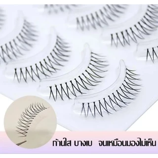 💦 PigRabbitShop ร้านไทย ✨ ขนตาปลอมแกนใส 3D 5 คู่ ❌ในแพ็คไม่มีกาว❌ ขนตาปลอมธรรมชาติ แบบเกาหลี แบบ V ขนตา ให้ตาคม