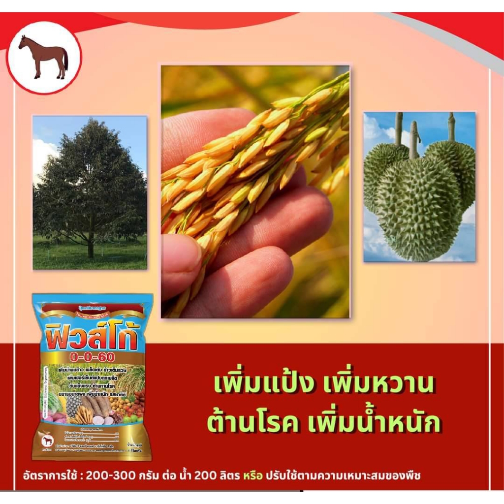 ปุ๋ยฟิวส์โก้ 0-0-60 ขนาด กิโล  ปุ๋ยฟิวโก้ ปุ๋ยเกล็ด ปุ๋ยเกล็ดทางใบ ปุ๋ยใส่ข้าว ปุ๋ยเพิ่มแป้ง ปุ๋ยชาลีเฟรท ปุ๋ยชาลี