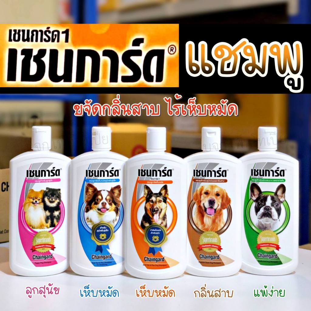 รูปภาพ 2