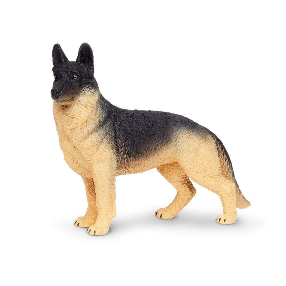 Safari Ltd. : SFR251729* โมเดลสุนัขสายพันธุ์เยอรมัน เชิพเพิร์ด  German Shepherd